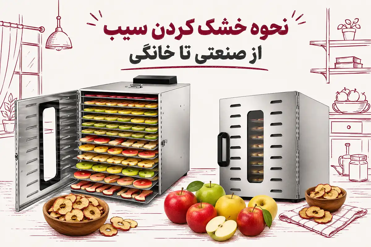 نحوه خشک کردن سیب؛ از خانگی تا تولید صنعتی با دستگاه خشک‌کن میوه