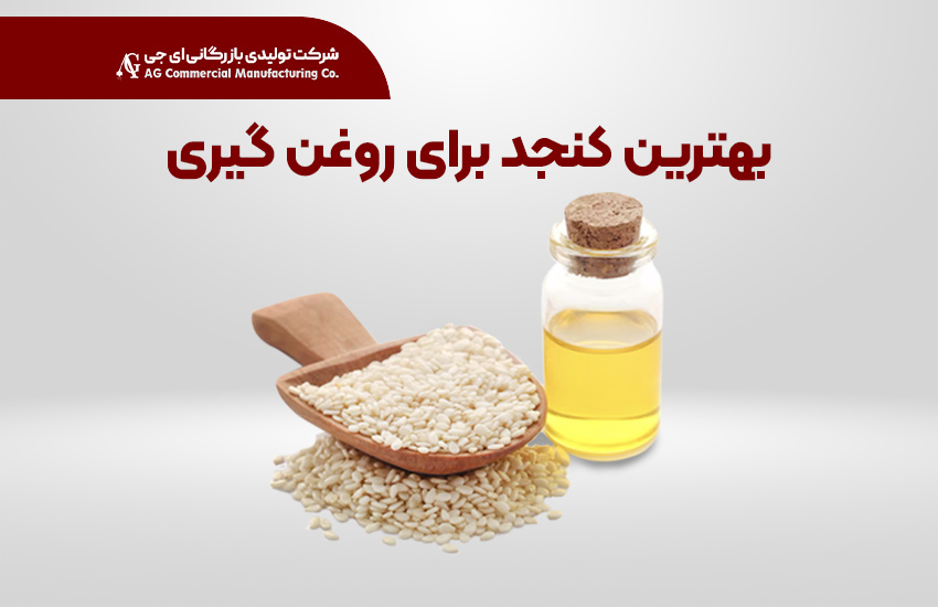 بهترین کنجد برای روغن‌گیری، راهنمای انتخاب دانه با بیشترین بازده و کیفیت