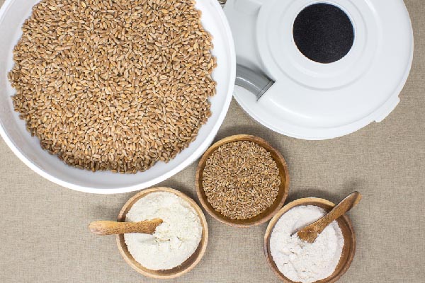 استفاده از غذاساز برای آسیاب